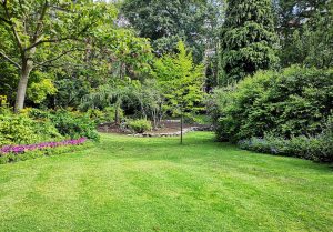 Optimiser l'expérience du jardin à Moitron-sur-Sarthe